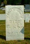 BISHOP Samuel Fowler 1810-1949 grave.jpg